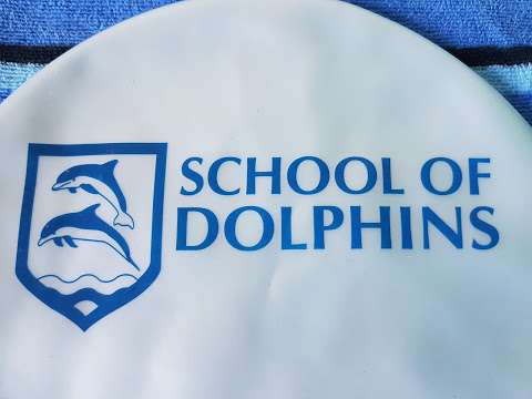 School Of Dolphins photo